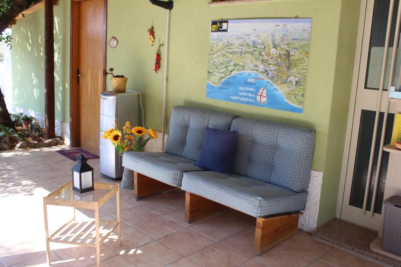 Agriturismo Pira Pinta Dorgali Zewnętrze zdjęcie