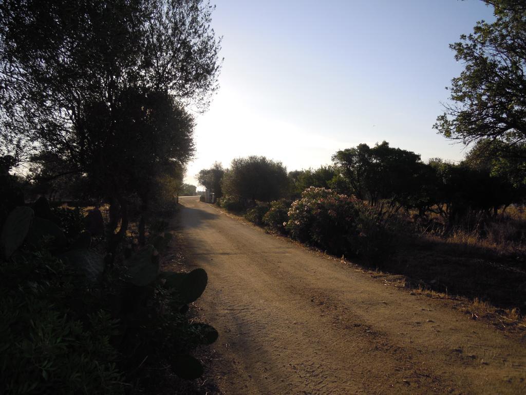 Agriturismo Pira Pinta Dorgali Pokój zdjęcie