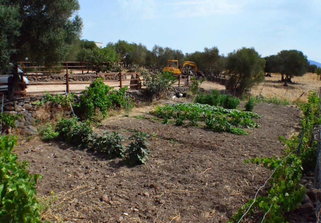 Agriturismo Pira Pinta Dorgali Zewnętrze zdjęcie