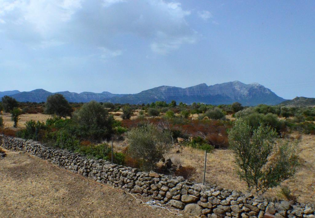 Agriturismo Pira Pinta Dorgali Zewnętrze zdjęcie