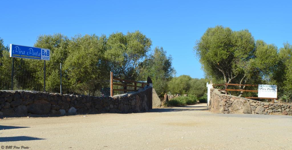 Agriturismo Pira Pinta Dorgali Zewnętrze zdjęcie