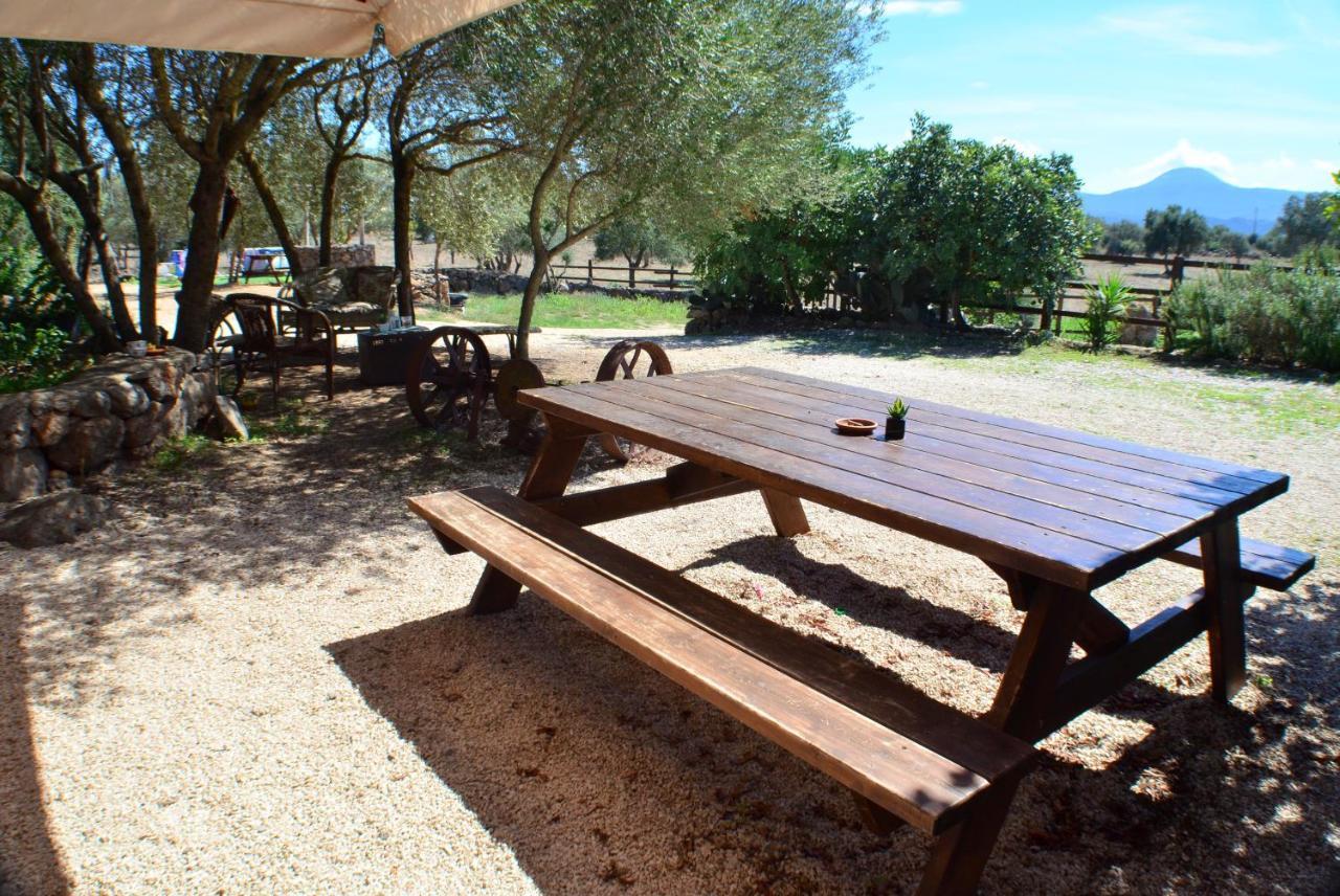 Agriturismo Pira Pinta Dorgali Zewnętrze zdjęcie